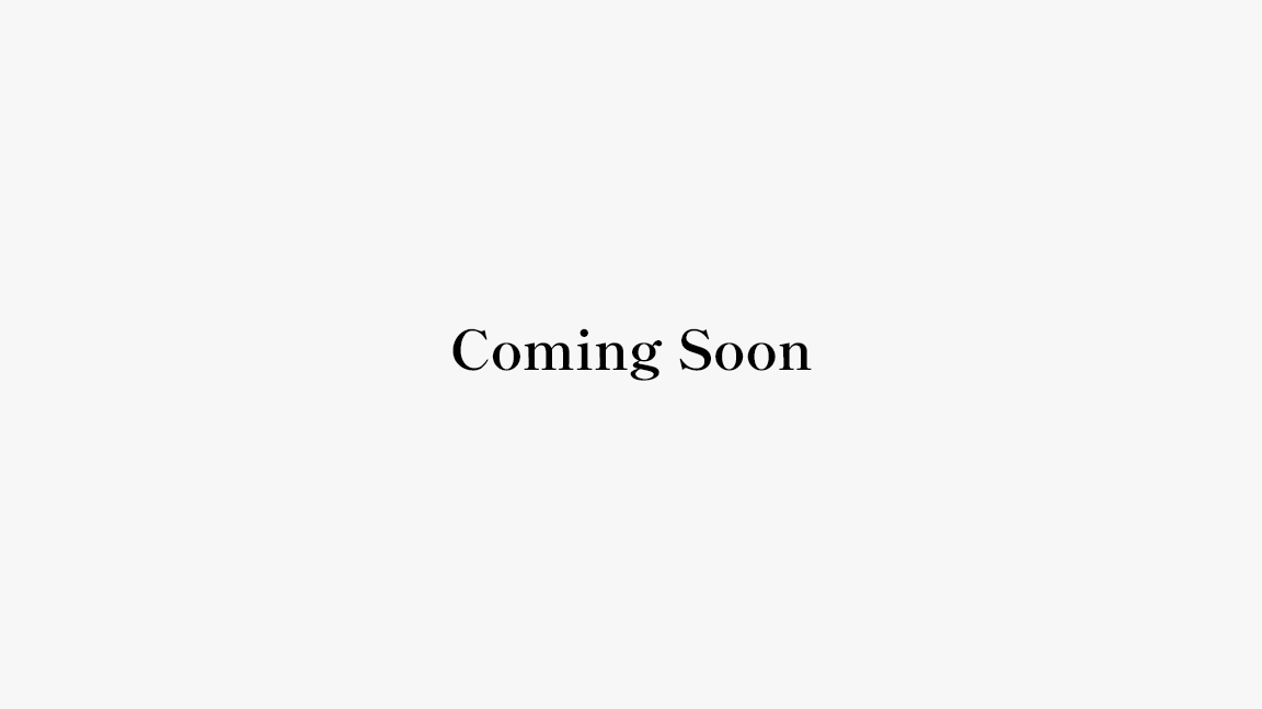 Himeji City Special Optional Tour | coming soon